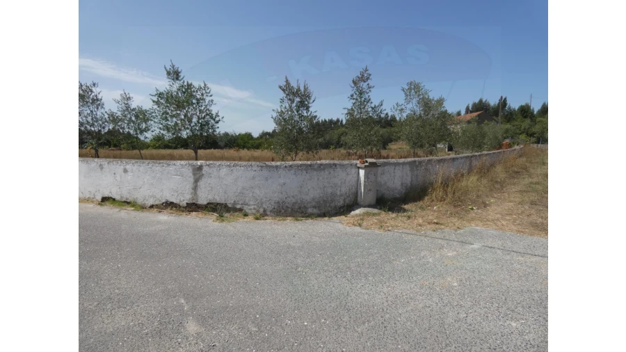 Terreno Agricola ou Rústico para Venda em Casais e Alviobeira Foto 6