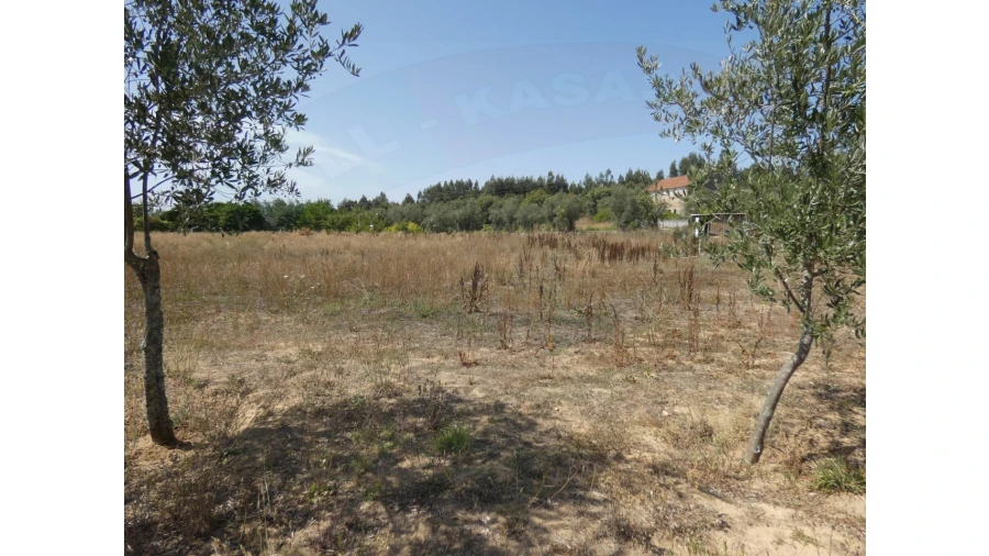 Terreno Agricola ou Rústico para Venda em Casais e Alviobeira Foto 7
