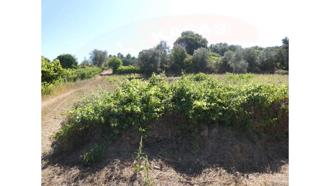Terreno Agricola ou Rústico para Venda em Casais e Alviobeira Foto 1