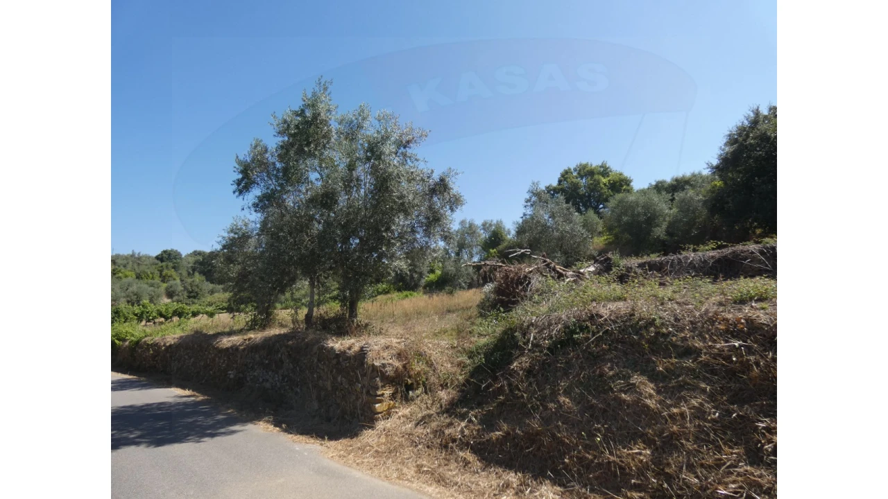 Terreno Agricola ou Rústico para Venda em Casais e Alviobeira Foto 4