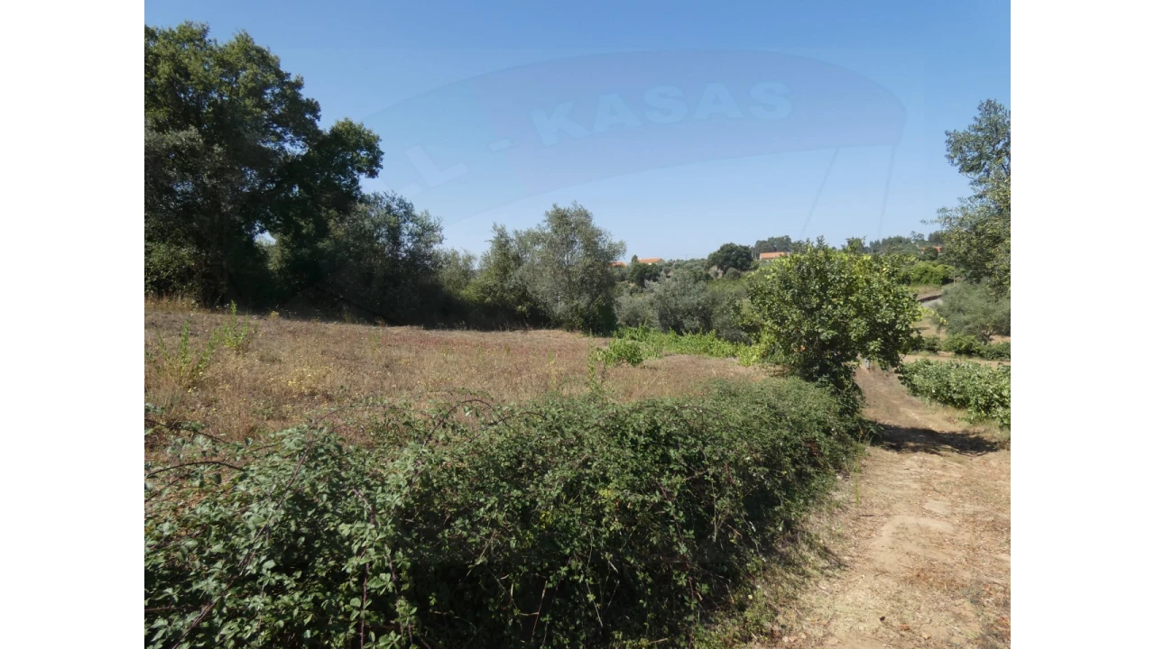Terreno Agricola ou Rústico para Venda em Casais e Alviobeira Foto 8