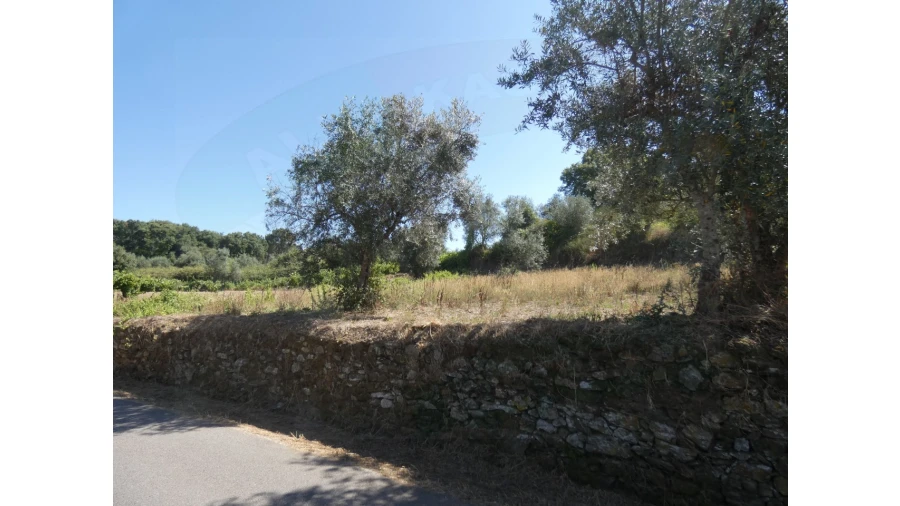 Terreno Agricola ou Rústico para Venda em Casais e Alviobeira Foto 2