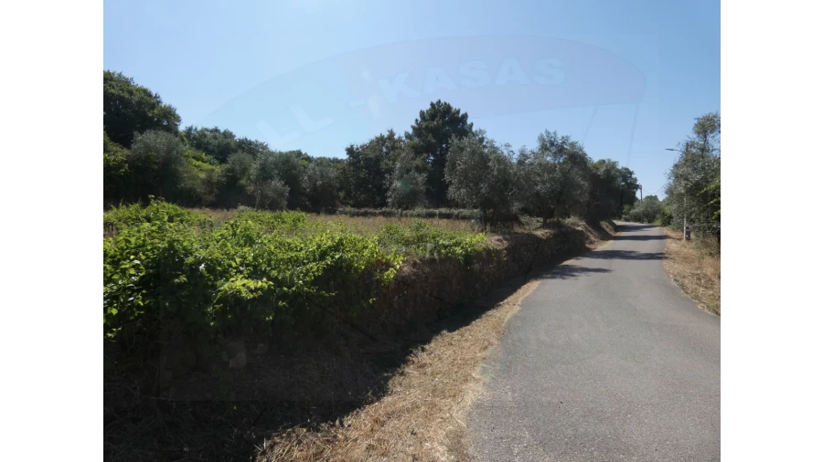 Terreno Agricola ou Rústico para Venda em Casais e Alviobeira Foto 6