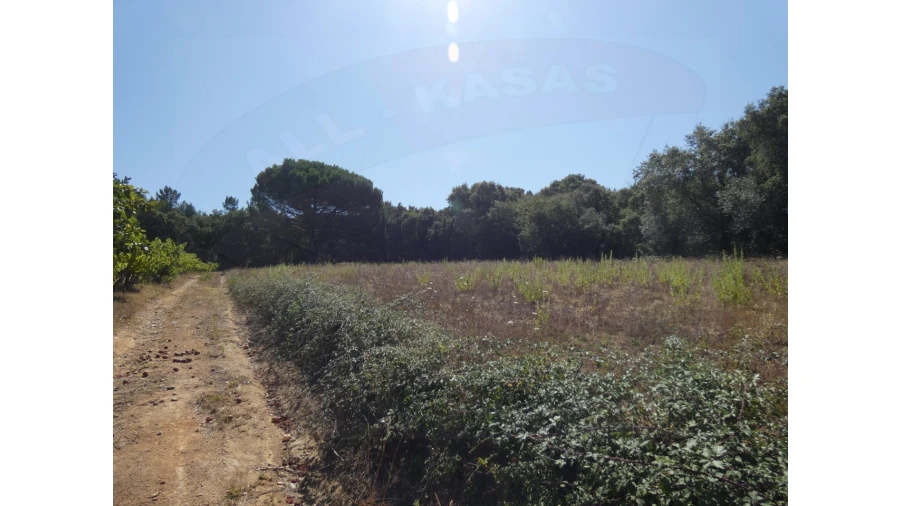 Terreno Agricola ou Rústico para Venda em Casais e Alviobeira Foto 7