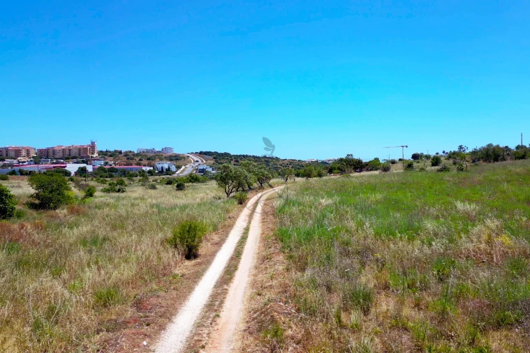 Terreno para Venda em Lagos (São Sebastião e Santa Maria) Foto 16