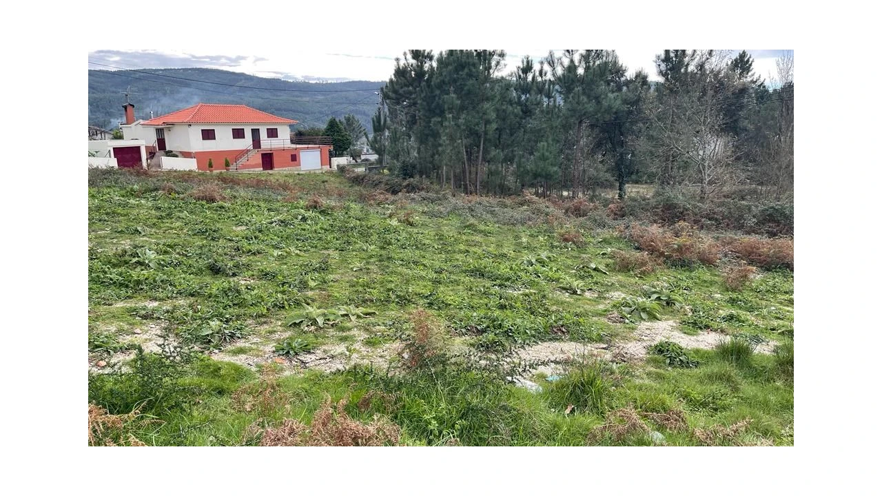 Terreno para Venda em Este (São Pedro e São Mamede) Foto 5