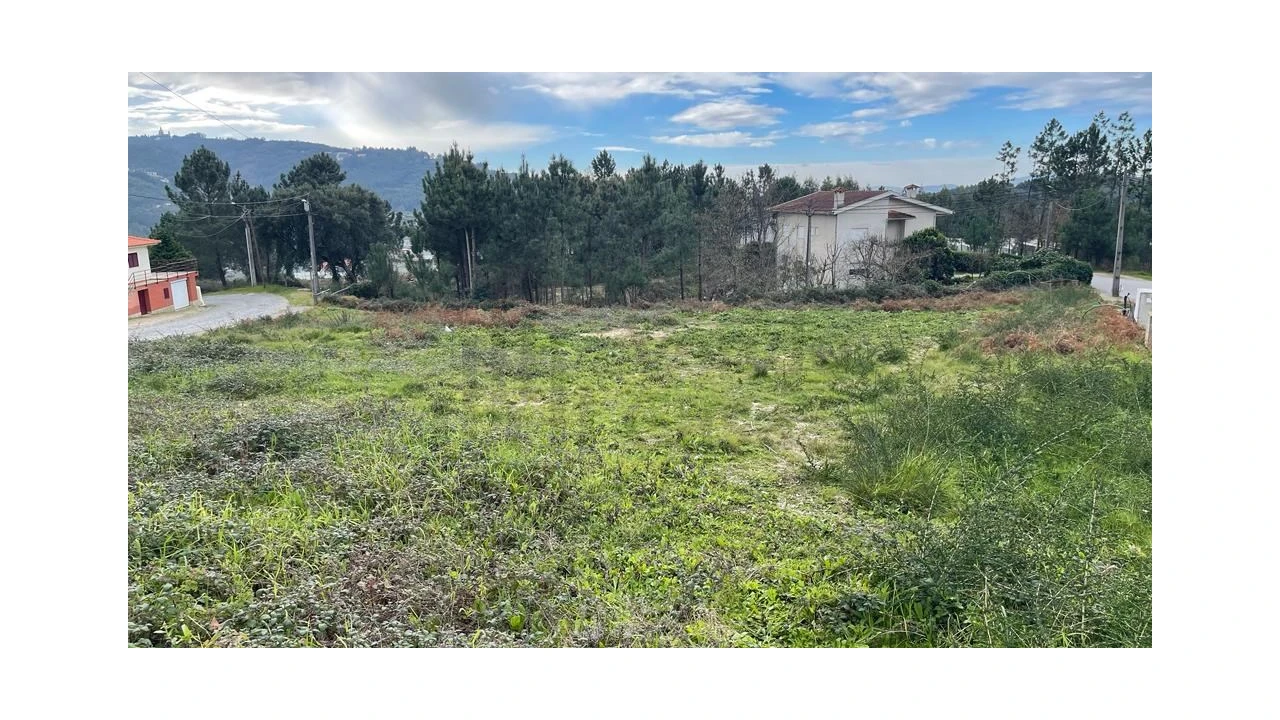 Terreno para Venda em Este (São Pedro e São Mamede) Foto 7