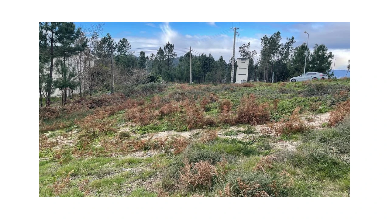 Terreno para Venda em Este (São Pedro e São Mamede) Foto 9