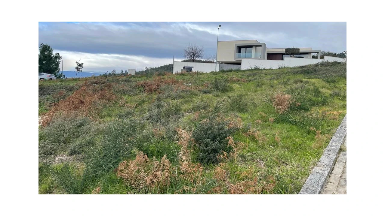 Terreno para Venda em Este (São Pedro e São Mamede) Foto 10