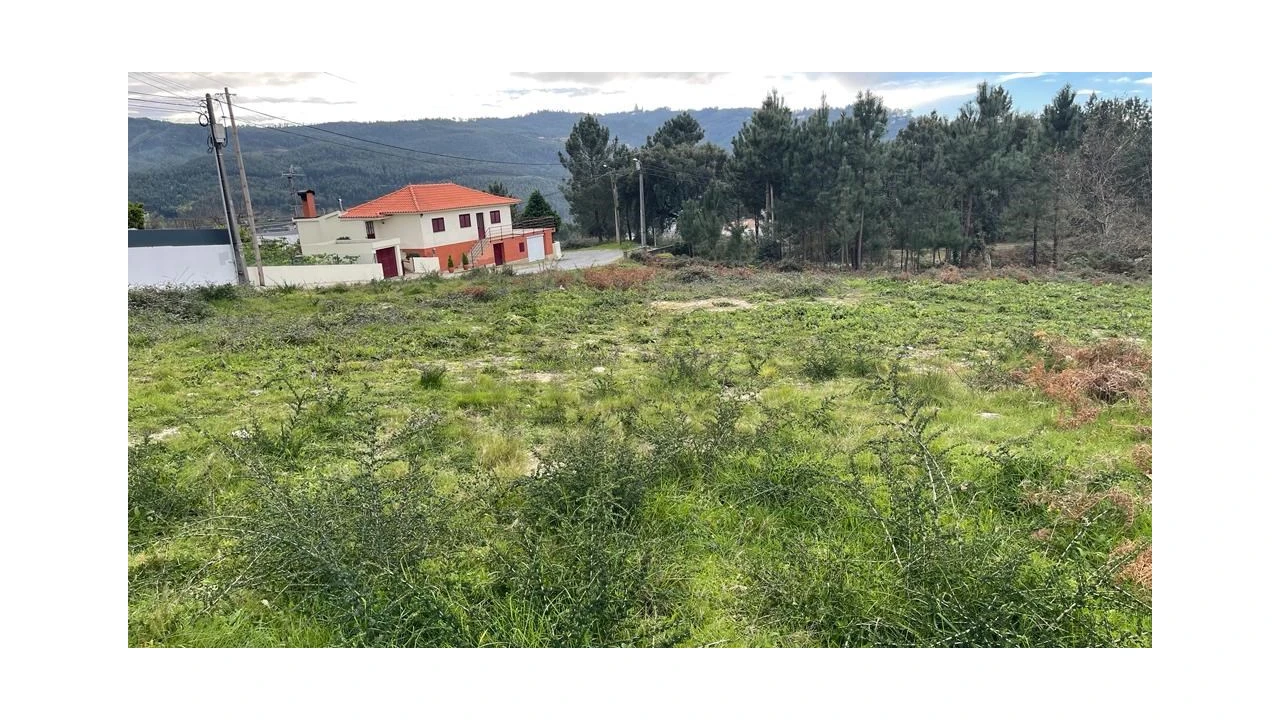 Terreno para Venda em Este (São Pedro e São Mamede) Foto 11
