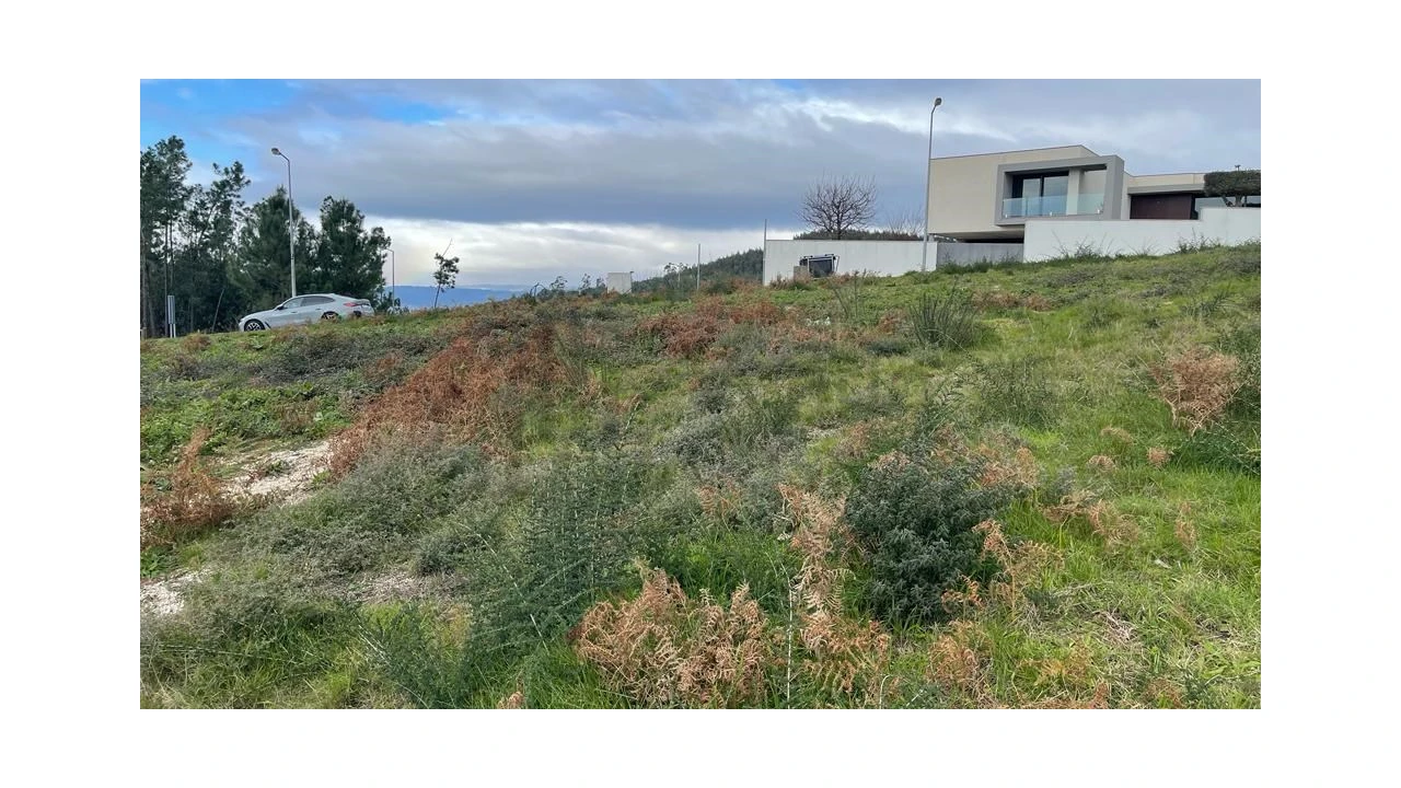 Terreno para Venda em Este (São Pedro e São Mamede) Foto 12