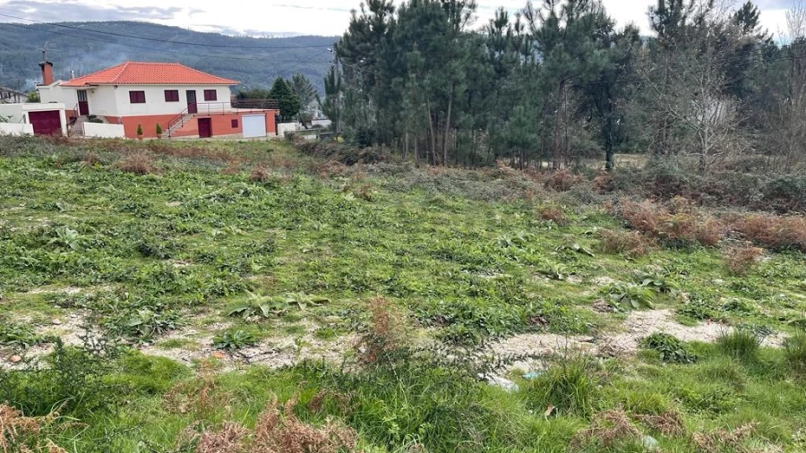 Terreno para Venda em Este (São Pedro e São Mamede) Foto 5