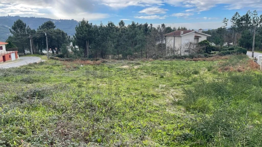 Terreno para Venda em Este (São Pedro e São Mamede) Foto 7