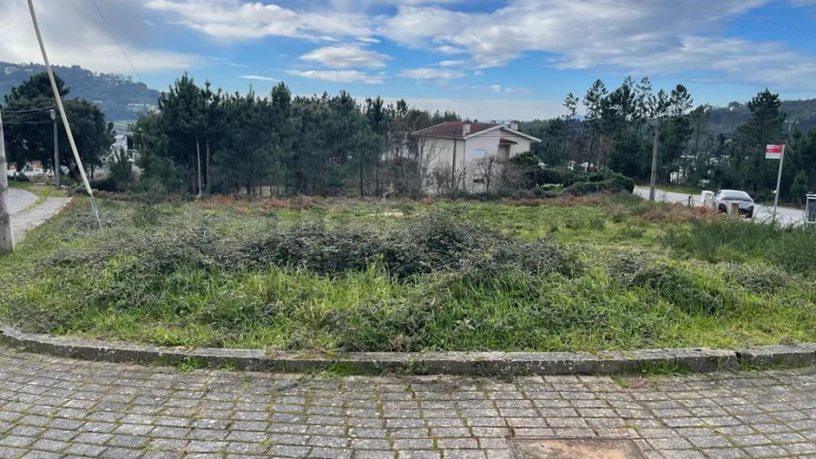 Terreno para Venda em Este (São Pedro e São Mamede) Foto 2