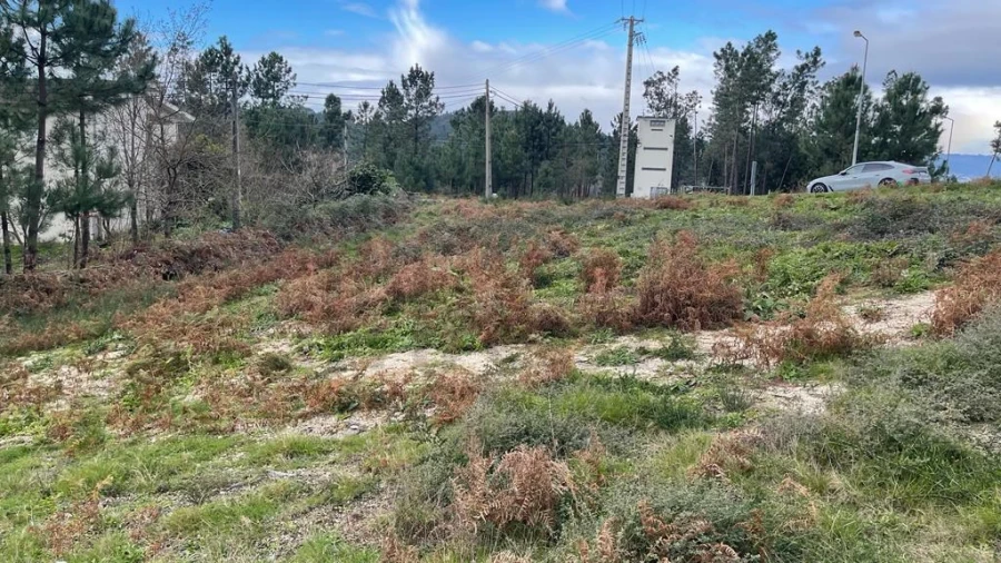Terreno para Venda em Este (São Pedro e São Mamede) Foto 9