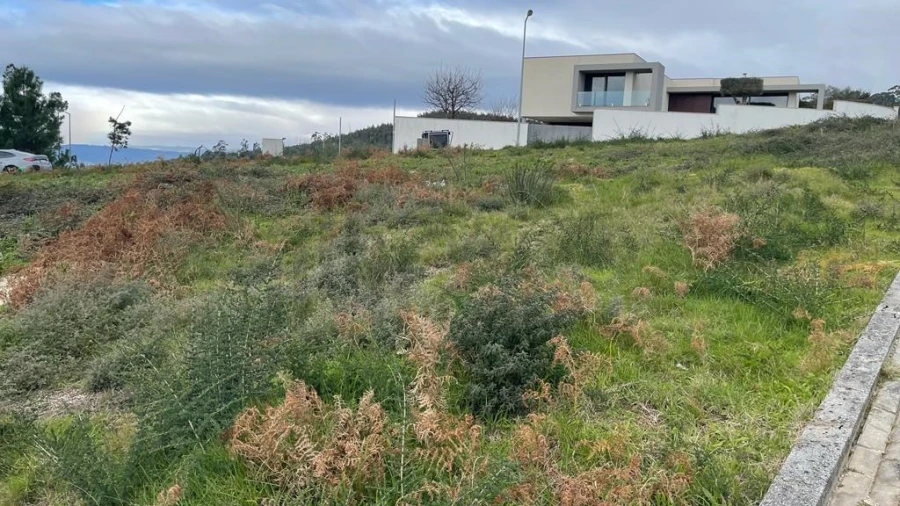 Terreno para Venda em Este (São Pedro e São Mamede) Foto 10