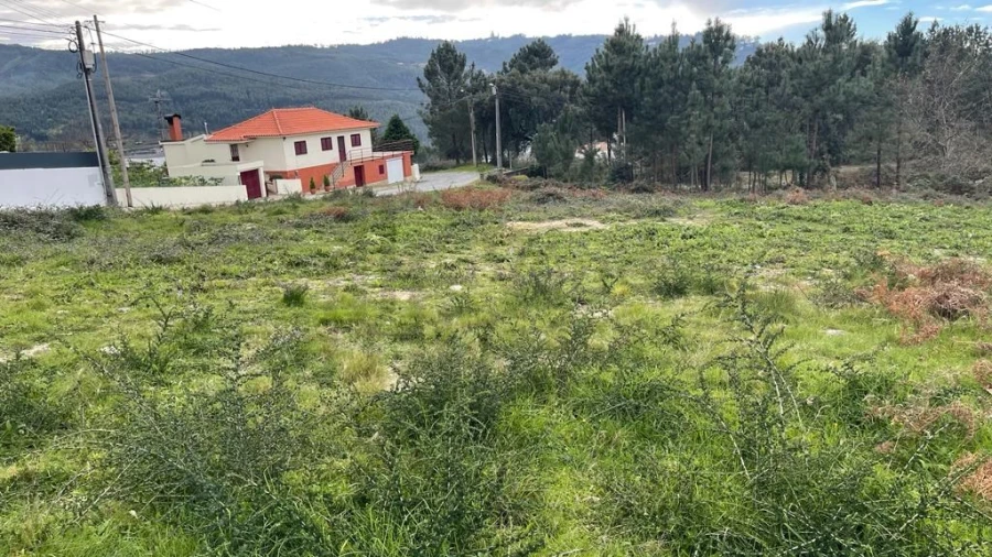 Terreno para Venda em Este (São Pedro e São Mamede) Foto 11