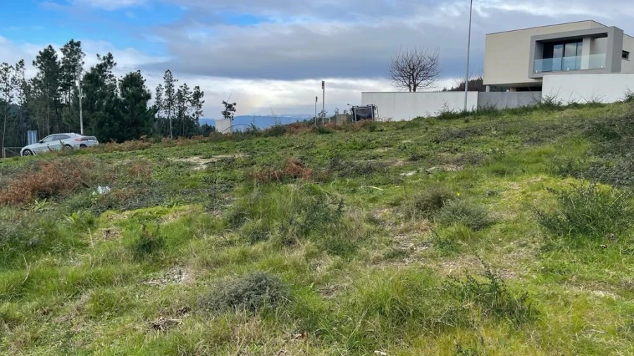 Terreno para Venda em Este (São Pedro e São Mamede) Foto 1