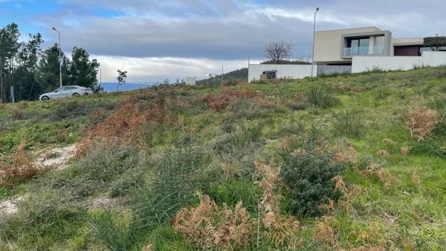 Terreno para Venda em Este (São Pedro e São Mamede) Foto 12