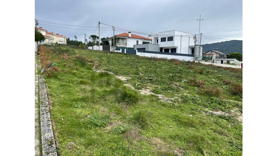 Terreno para Venda em Este (São Pedro e São Mamede) Foto 3