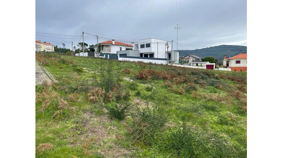 Terreno para Venda em Este (São Pedro e São Mamede) Foto 15