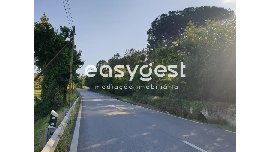 Terreno Agricola ou Rústico para Venda em Soure Foto 1