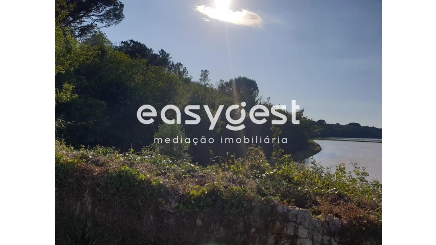 Terreno Agricola ou Rústico para Venda em Soure Foto 3