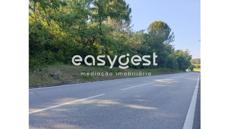 Terreno Agricola ou Rústico para Venda em Soure Foto 4