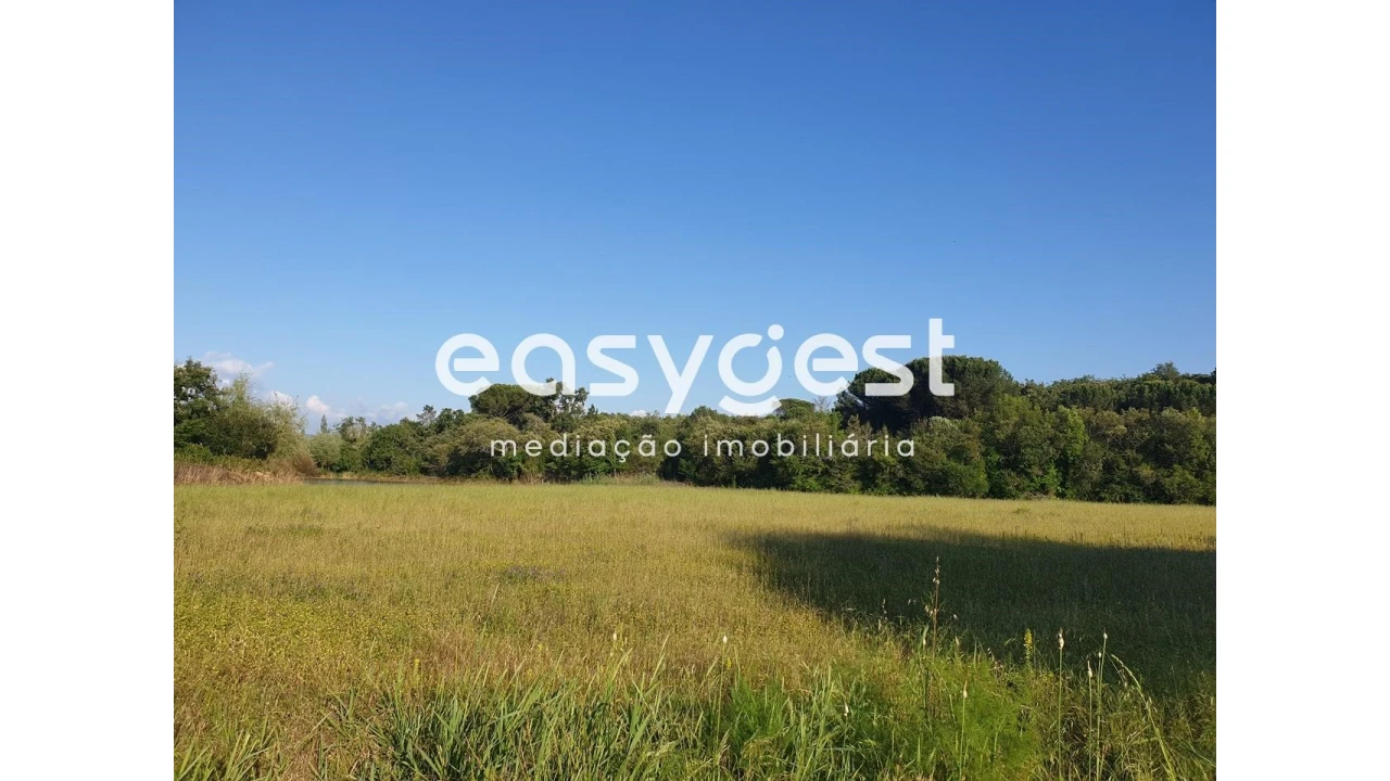 Terreno Agricola ou Rústico para Venda em Soure Foto 2