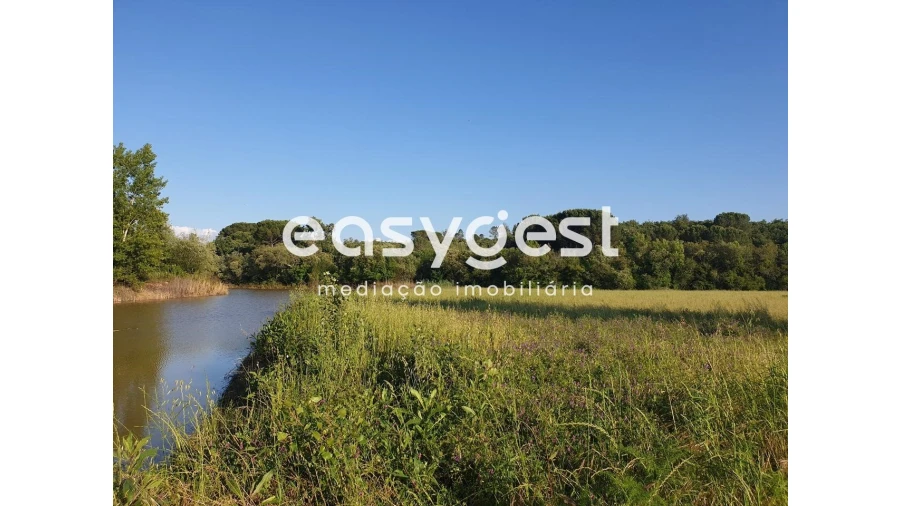 Terreno Agricola ou Rústico para Venda em Soure Foto 1