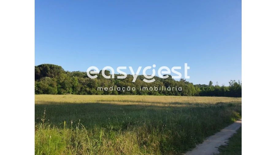 Terreno Agricola ou Rústico para Venda em Soure Foto 3