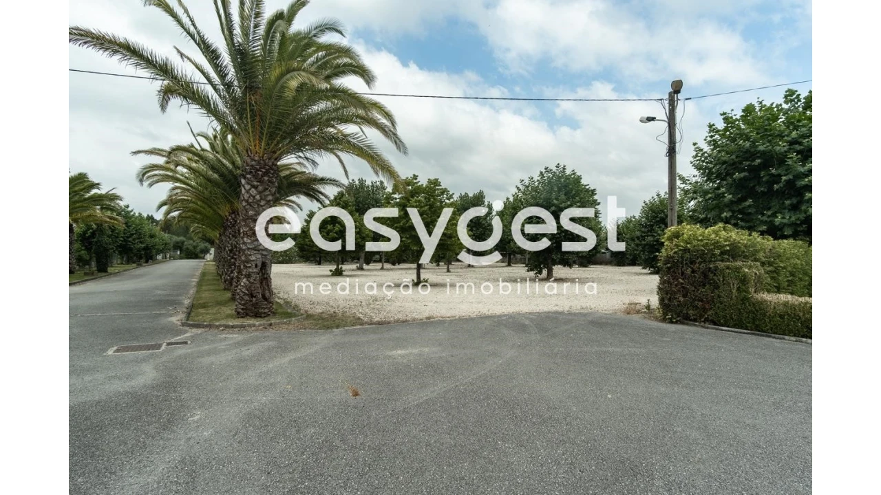 Quinta T4 para Venda em Cantanhede e Pocariça Foto 5