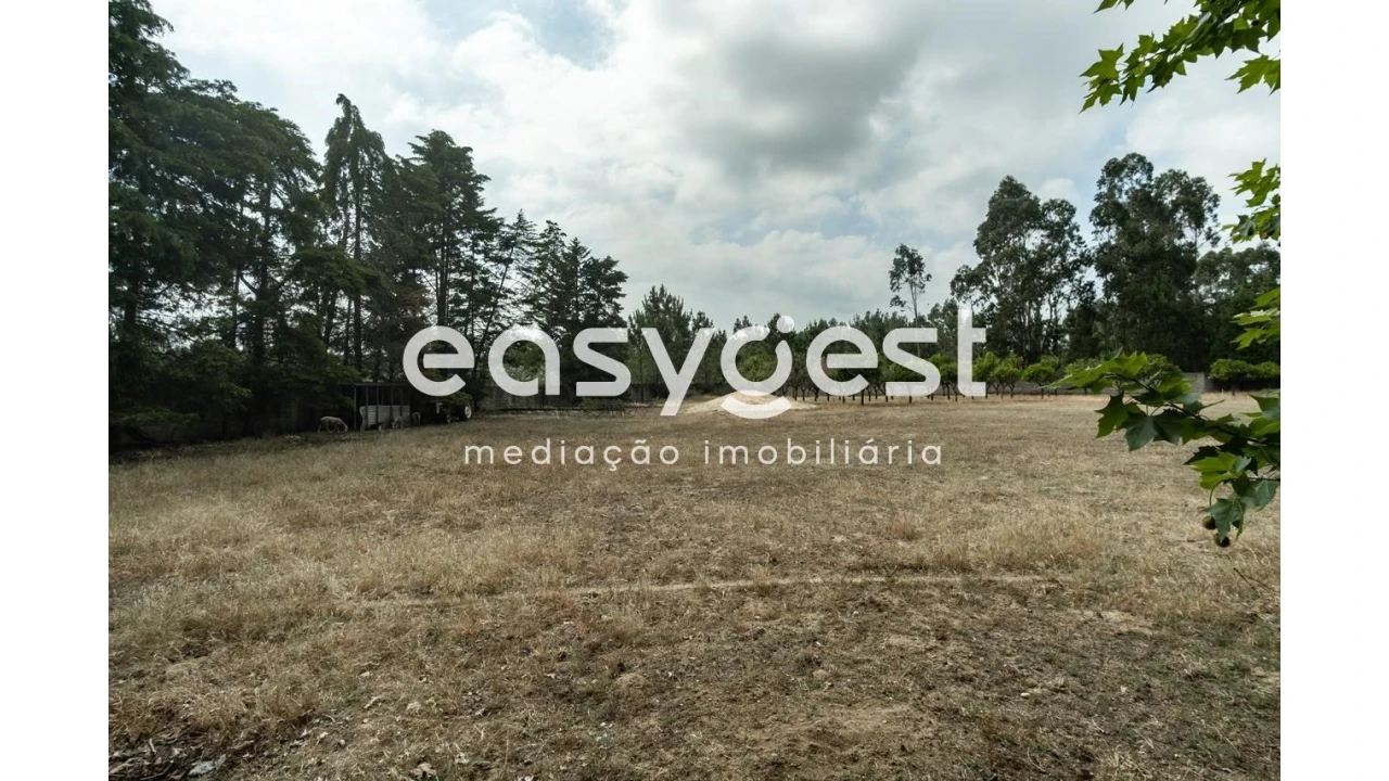 Quinta T4 para Venda em Cantanhede e Pocariça Foto 20