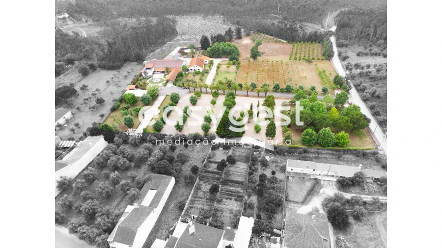 Quinta T4 para Venda em Cantanhede e Pocariça