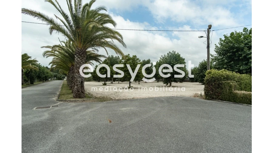 Quinta T4 para Venda em Cantanhede e Pocariça Foto 5