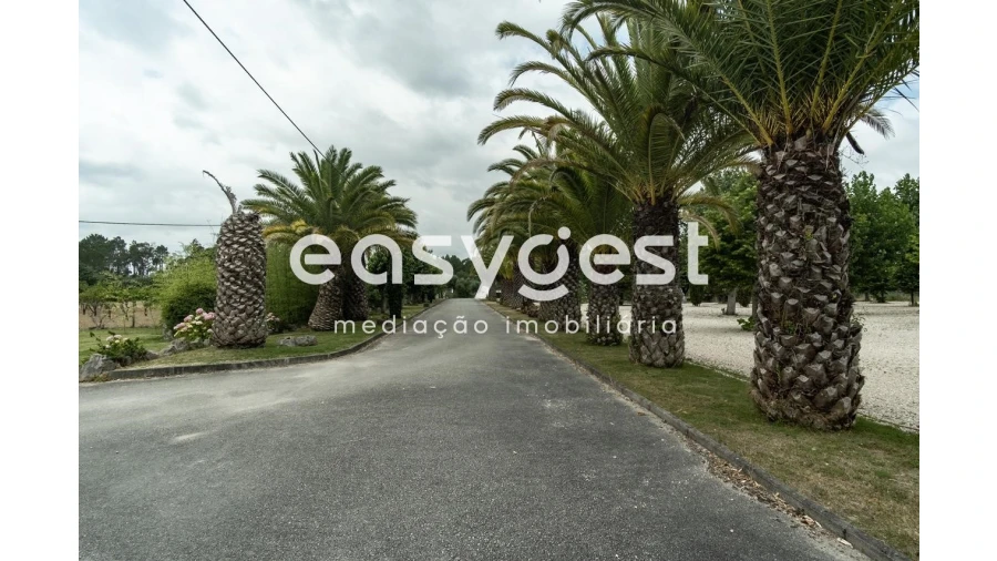 Quinta T4 para Venda em Cantanhede e Pocariça Foto 9