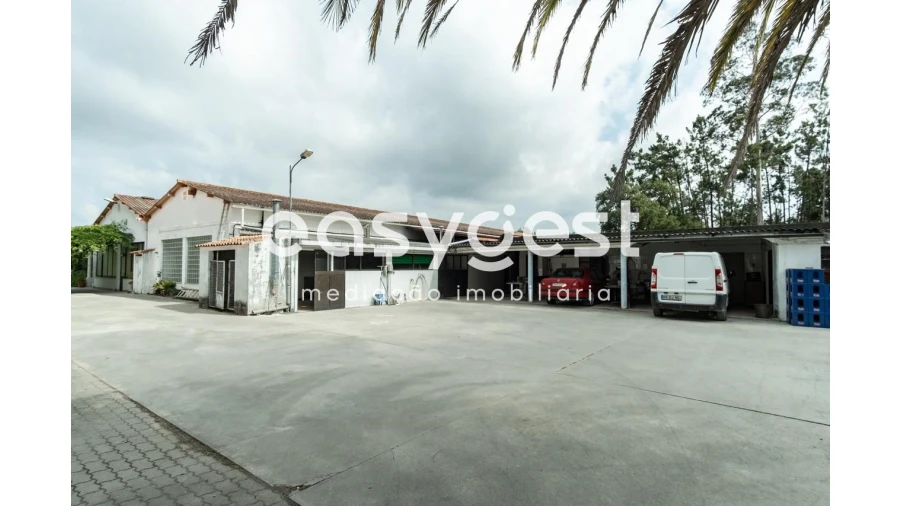 Quinta T4 para Venda em Cantanhede e Pocariça Foto 19