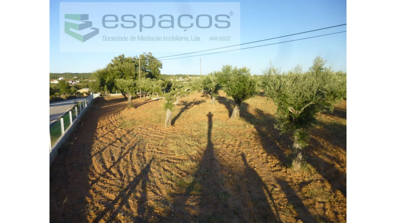 Terreno Agricola ou Rústico para Venda em Freixial e Juncal do Campo Foto 3
