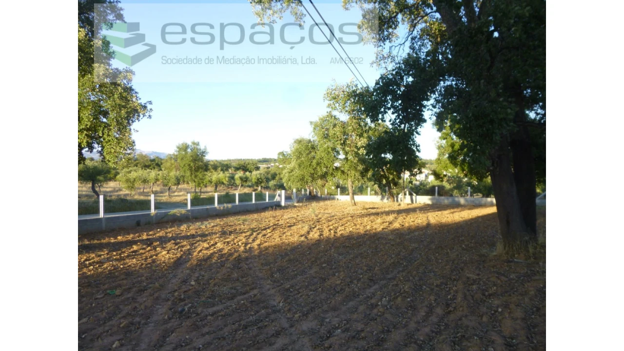 Terreno Agricola ou Rústico para Venda em Freixial e Juncal do Campo Foto 4