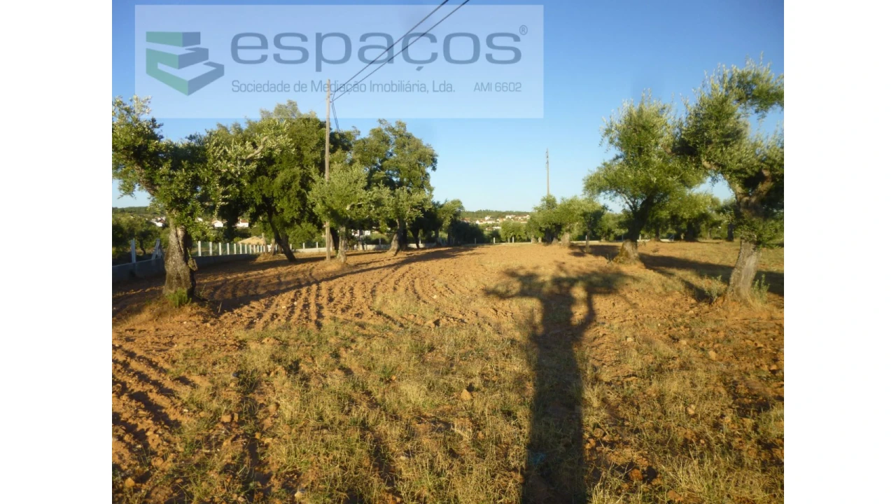 Terreno Agricola ou Rústico para Venda em Freixial e Juncal do Campo Foto 6