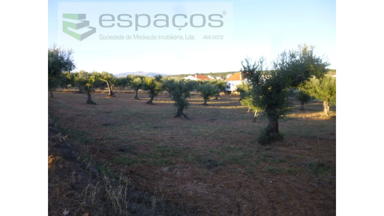 Terreno Agricola ou Rústico para Venda em Freixial e Juncal do Campo Foto 12