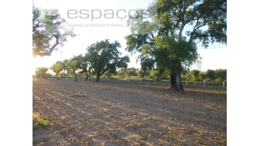 Terreno Agricola ou Rústico para Venda em Freixial e Juncal do Campo Foto 15