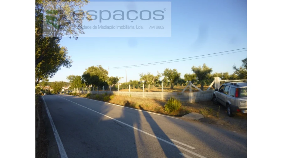 Terreno Agricola ou Rústico para Venda em Freixial e Juncal do Campo Foto 16