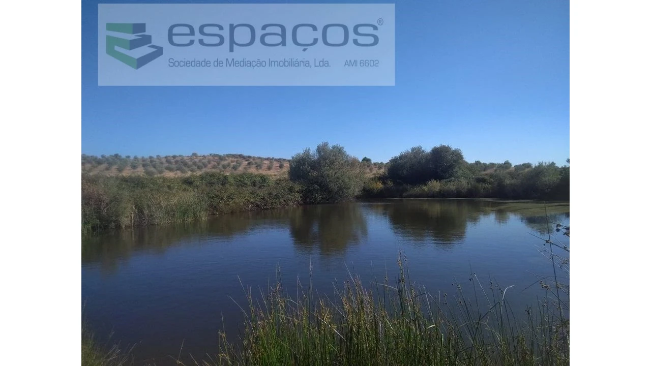 Quinta para Venda em Ladoeiro Foto 2