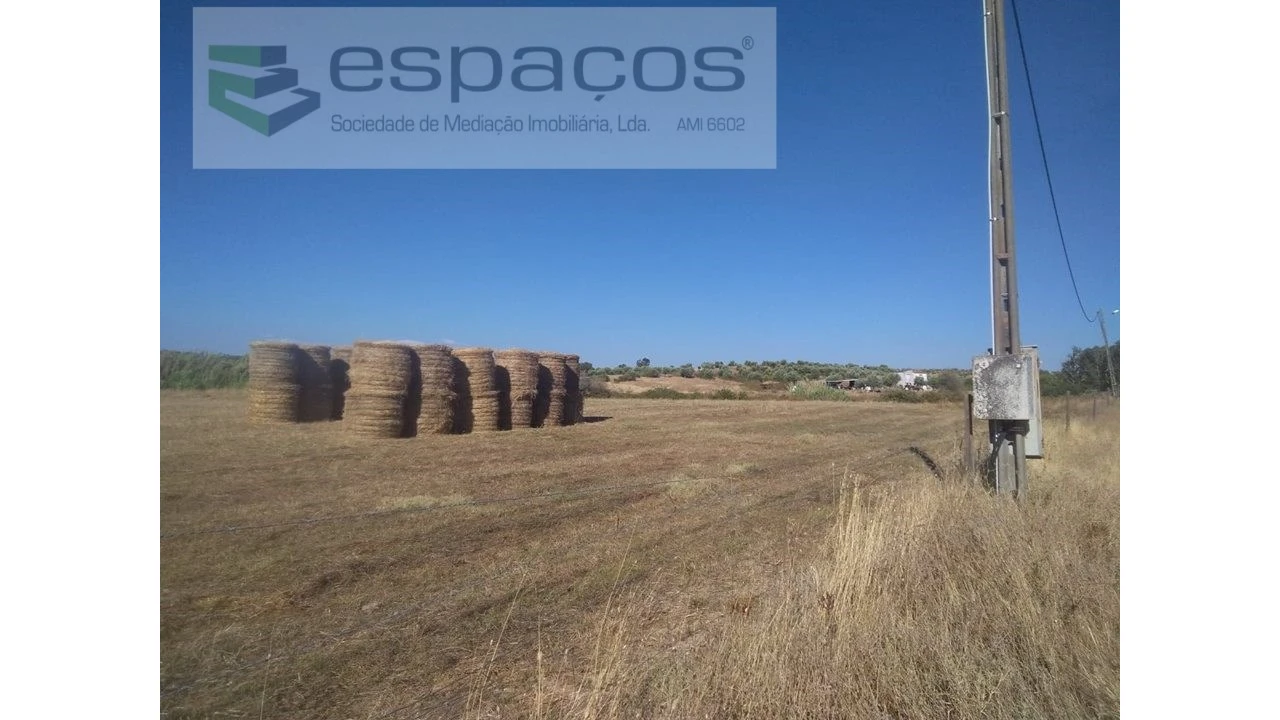 Quinta para Venda em Ladoeiro Foto 3