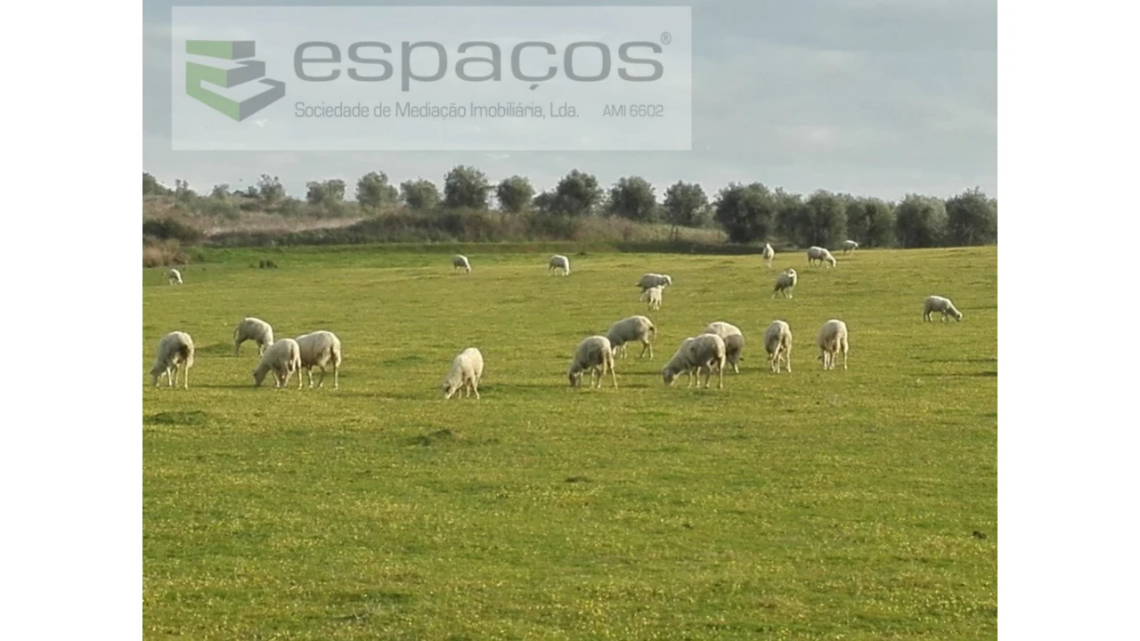 Quinta para Venda em Ladoeiro Foto 1