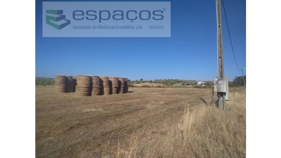 Quinta para Venda em Ladoeiro Foto 3