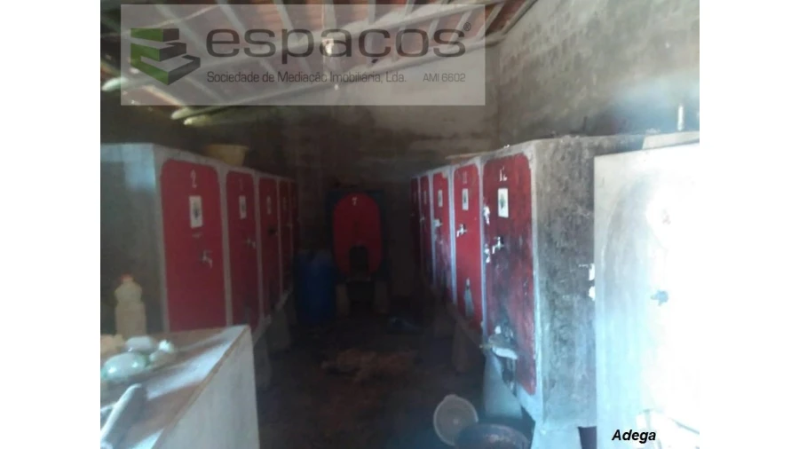 Quinta para Venda em Ladoeiro Foto 11