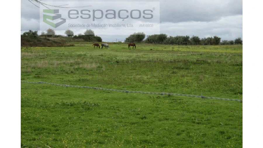 Quinta para Venda em Ladoeiro Foto 13