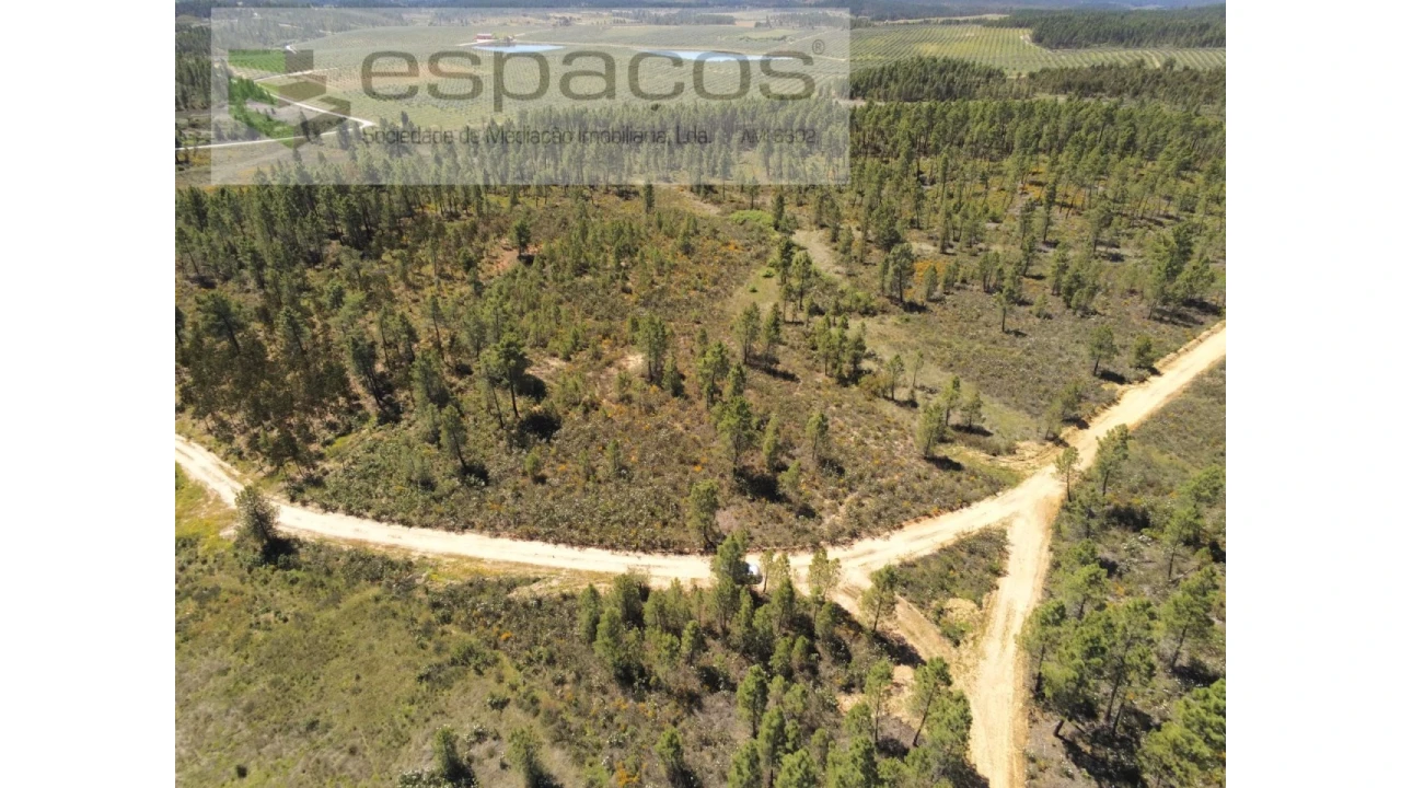 Terreno Agricola ou Rústico para Venda em Sarzedas Foto 1